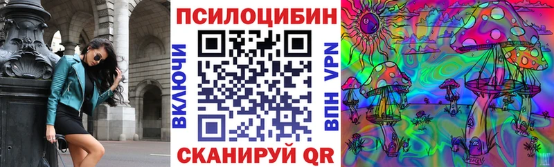 Купить  Очёр  Галлюциногенные грибы Psilocybine cubensis 